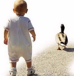 宝宝怎样才能学会罗圈腿,宝宝罗圈腿最佳治疗方法