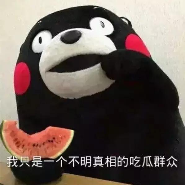 拉菲葡萄酒为什么是智利的 (假拉菲葡萄酒是真的吗)