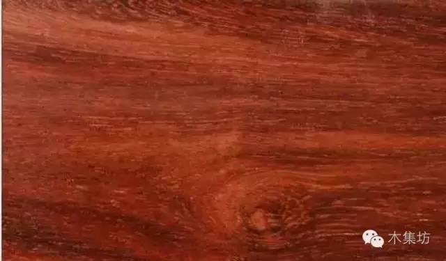 品鉴木头完整版,品鉴一般鉴别什么物品