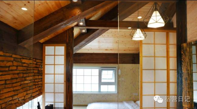 没去青岛也能看到海鸥,没去青岛的人对这个城市的印象