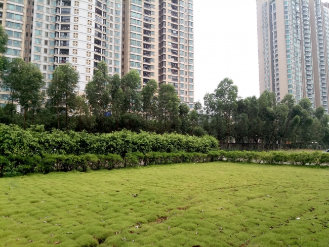 魅蓝3s的手机好用吗,魅蓝3s是最好的吗