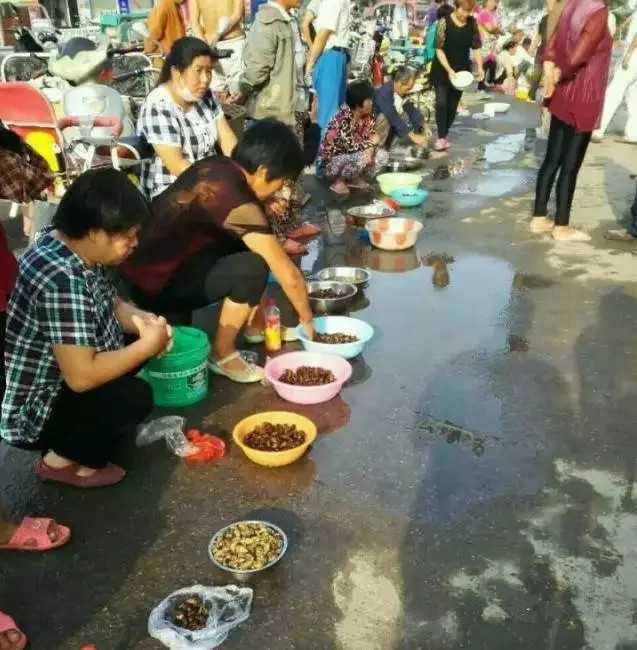 徐州某集市卖“姐喽龟”的，这场面你见过吗？