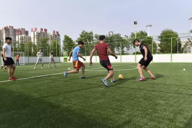 文登好的武术馆,文登市体育公园在哪里