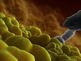 案例：茫茫“精海”里，如何遇见亲爱的她？