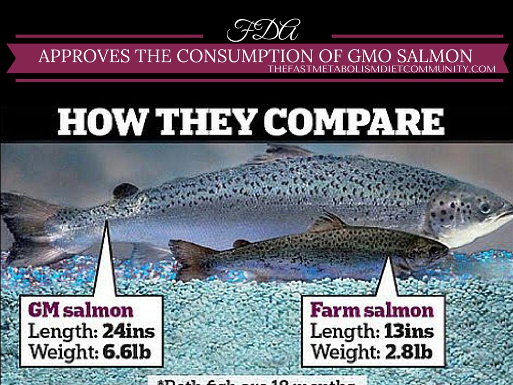 挪威三文鱼和挪威三文鱼,挪威三文鱼是不是有问题