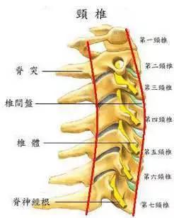 白琳--米字功视频--爱护颈椎就这么简单！（慧生活微课原创）