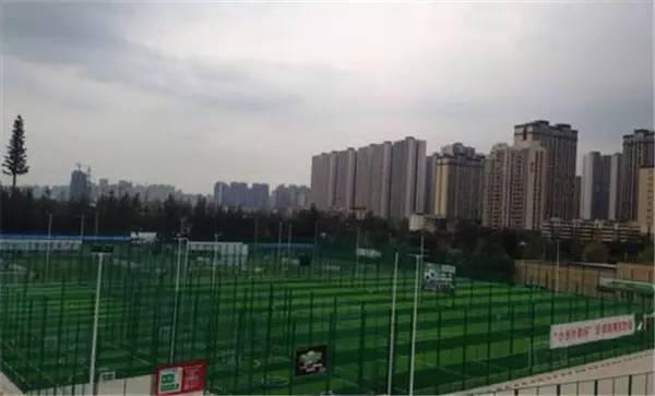 欧洲杯足球在哪里踢得好,2024年欧洲杯足球场一览表最新版