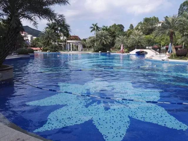 惠州都有哪些游泳池,可以游泳的惠州海滩泳池