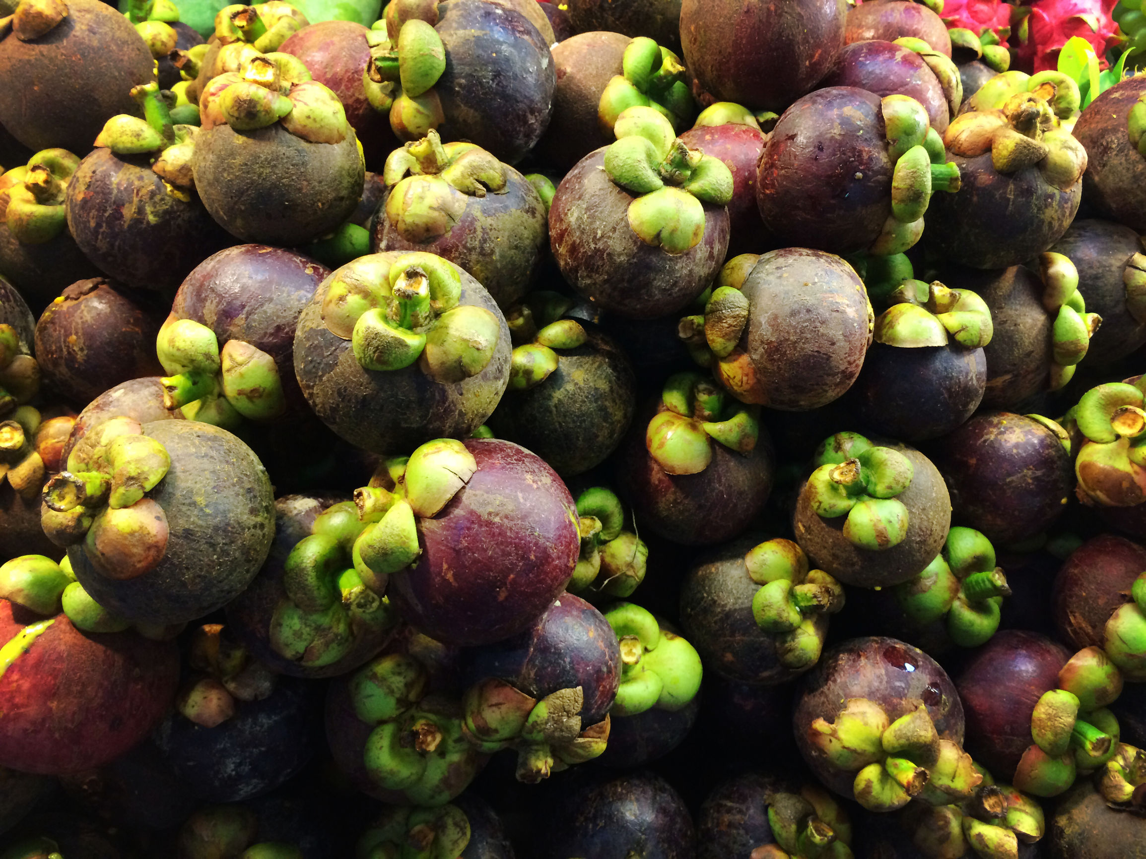 清凉一夏给你5个必去宿雾的理由,清凉一夏不需要太多理由