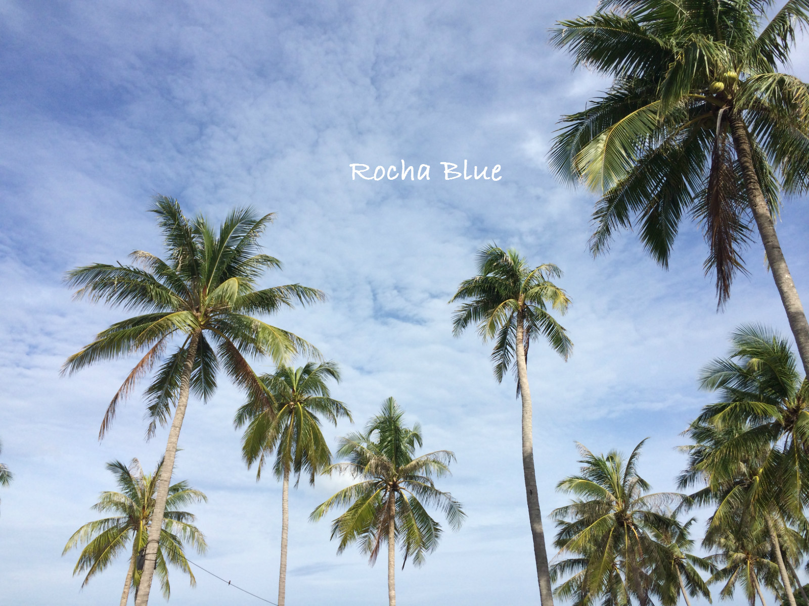 清凉一夏给你5个必去宿雾的理由,清凉一夏不需要太多理由