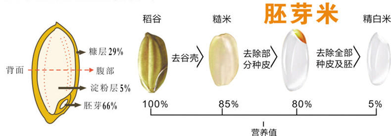 脚气病人的福音,脚气病患者的福音