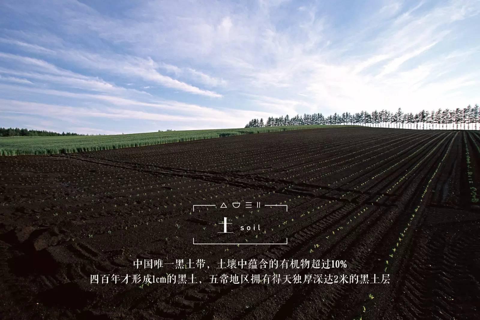 脚气病人的福音,脚气病患者的福音