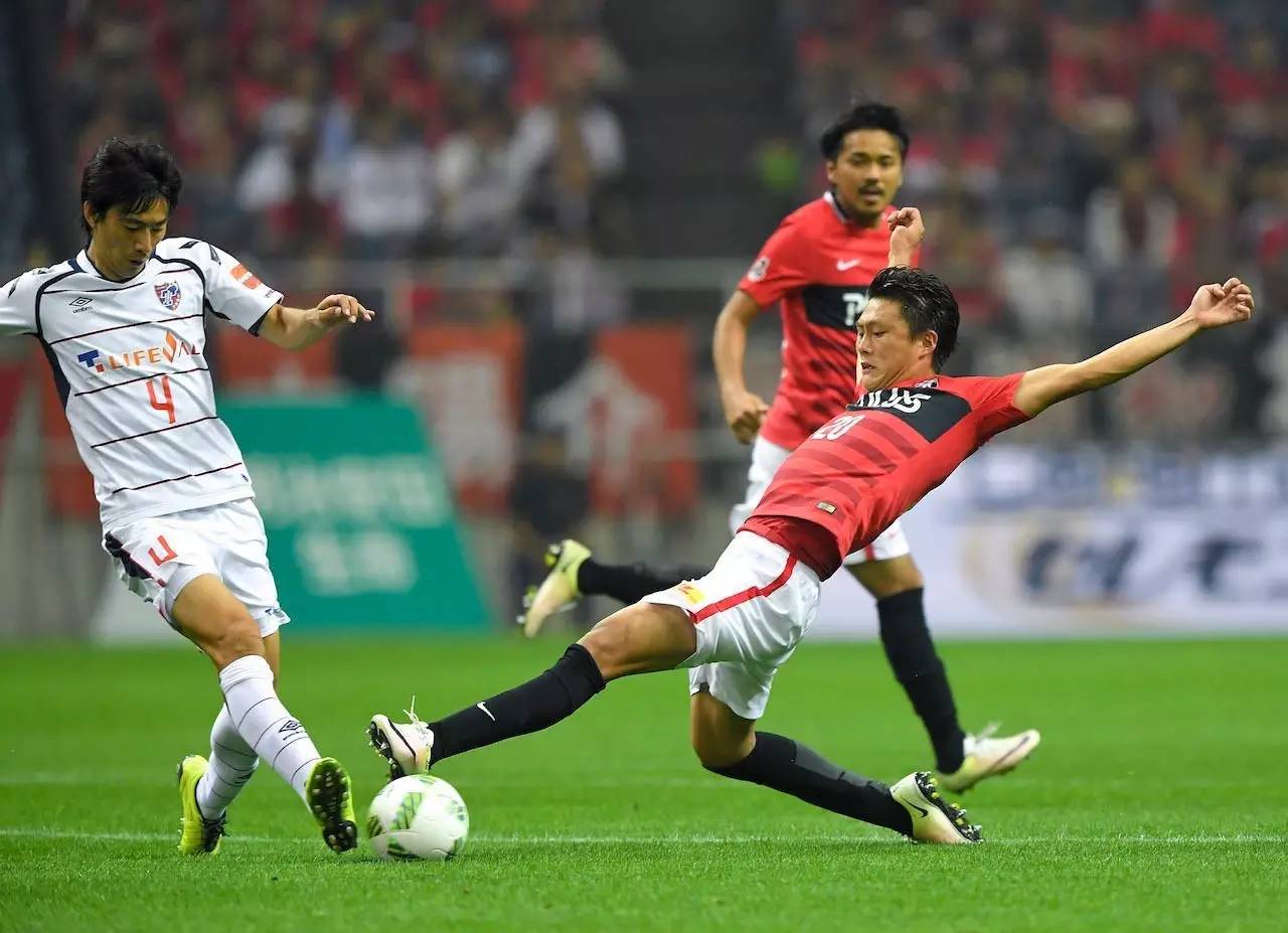 欧洲杯直播看不了了去哪里看,欧洲杯直播看哪个视频