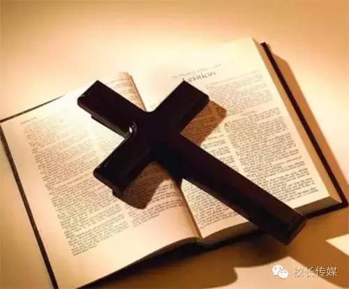 生活中的你没关注到的小细节,生活中的这些小细节你关注到了吗