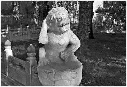 千年萌物大集结,到底谁才是真正的“*物文**萌主”!