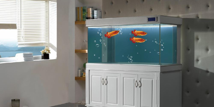 水族箱底部漏水怎么处理,水族箱上的水漏水怎么办