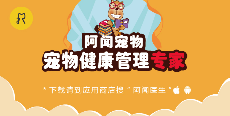 猫咪大便带血精神好胃口好,猫咪大便带血什么原因