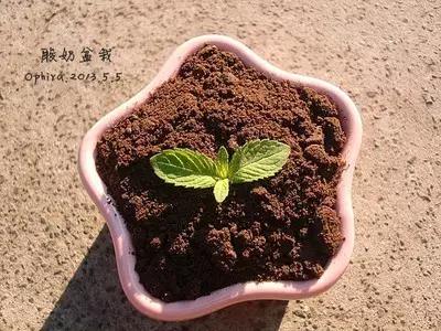 酸奶是疯了么、和谁都能有一腿、这么*交滥**真的好么？