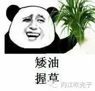 内江文理科第一名,内江市高考第一名考了多少分