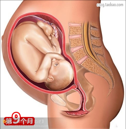 受益匪浅新手爸妈必读