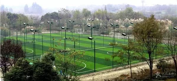 欧洲杯足球在哪里踢得好,2024年欧洲杯足球场一览表最新版