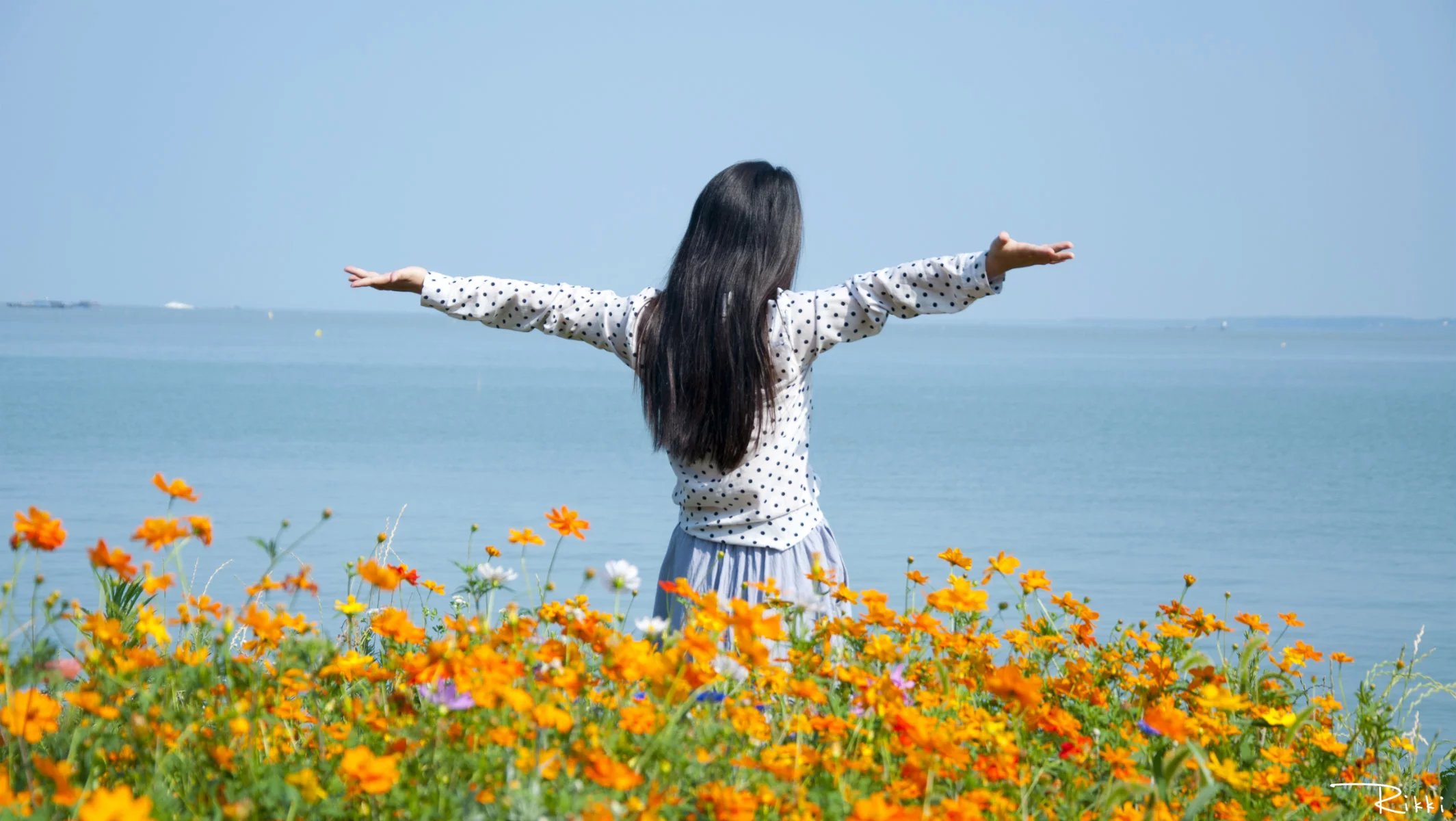 巢湖碧桂园南岸,巢湖南岸碧桂园