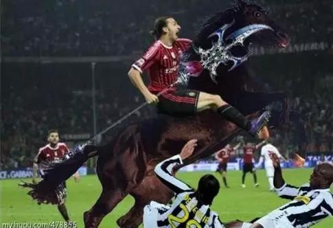 懂球女王哈登16助攻,懂球帝欧洲杯24强巡礼