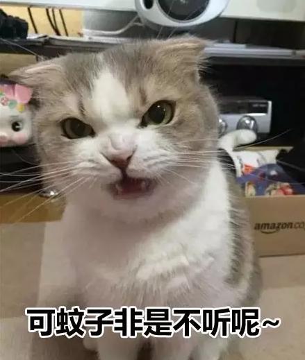 皇上快把臣妾打入冷宫小说,皇上把我打入冷宫吧