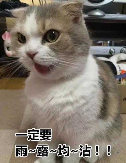 皇上快把臣妾打入冷宫小说,皇上把我打入冷宫吧