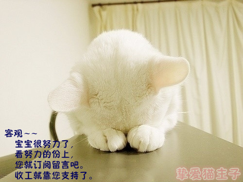 皇上快把臣妾打入冷宫小说,皇上把我打入冷宫吧