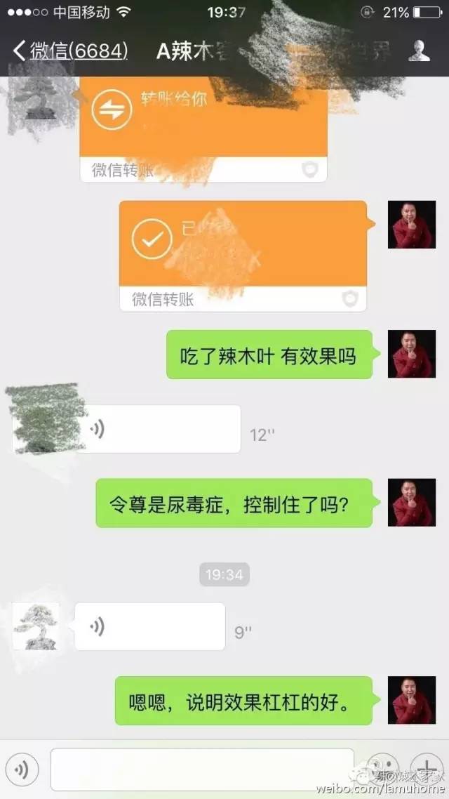 青钱柳辣木茶的功效与作用,辣木茶对肝的功效与作用