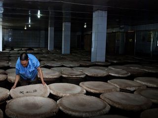 小偏方小食物治大病,偏方治大病巧药见奇功