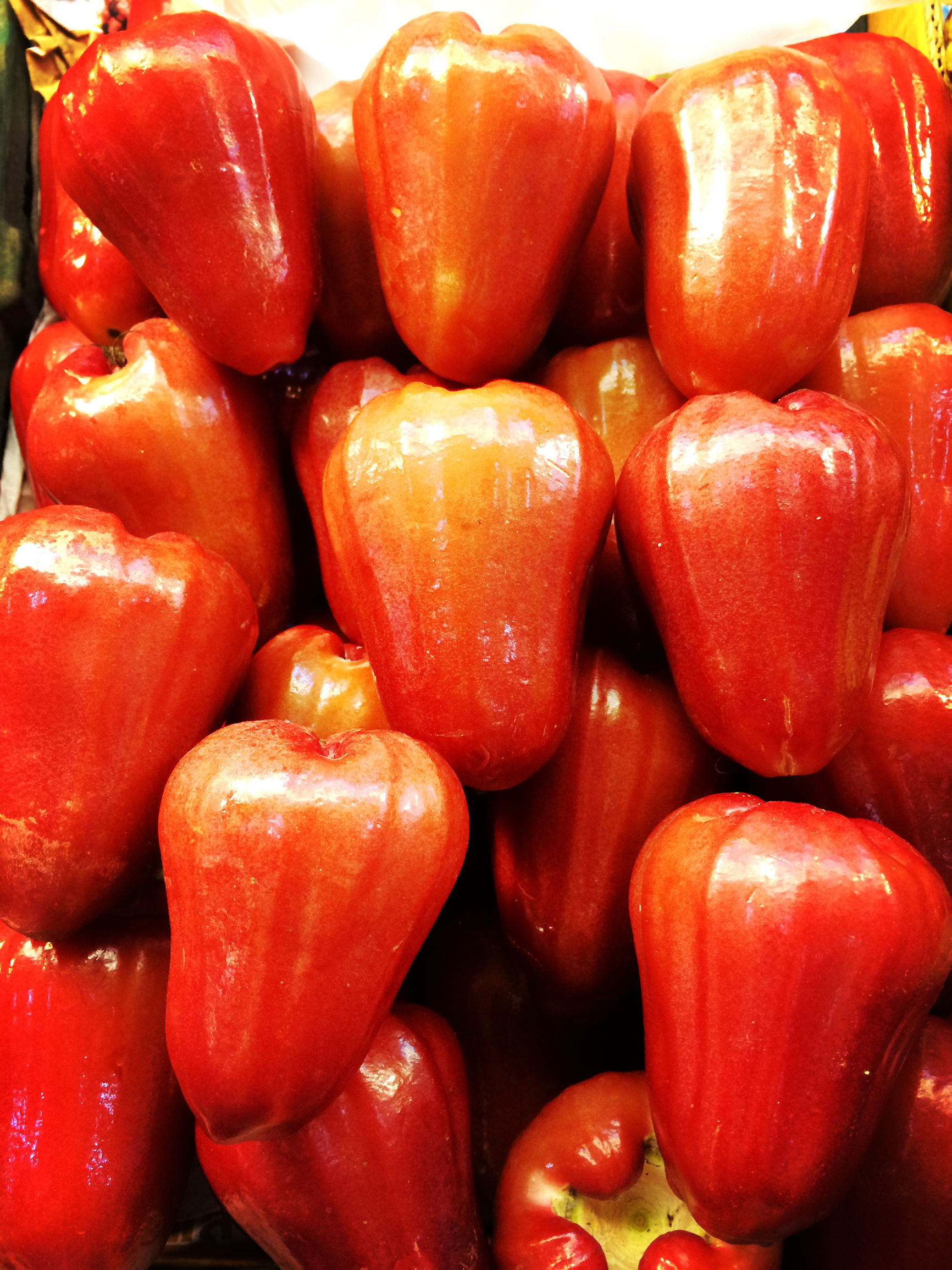 清凉一夏给你5个必去宿雾的理由,清凉一夏不需要太多理由