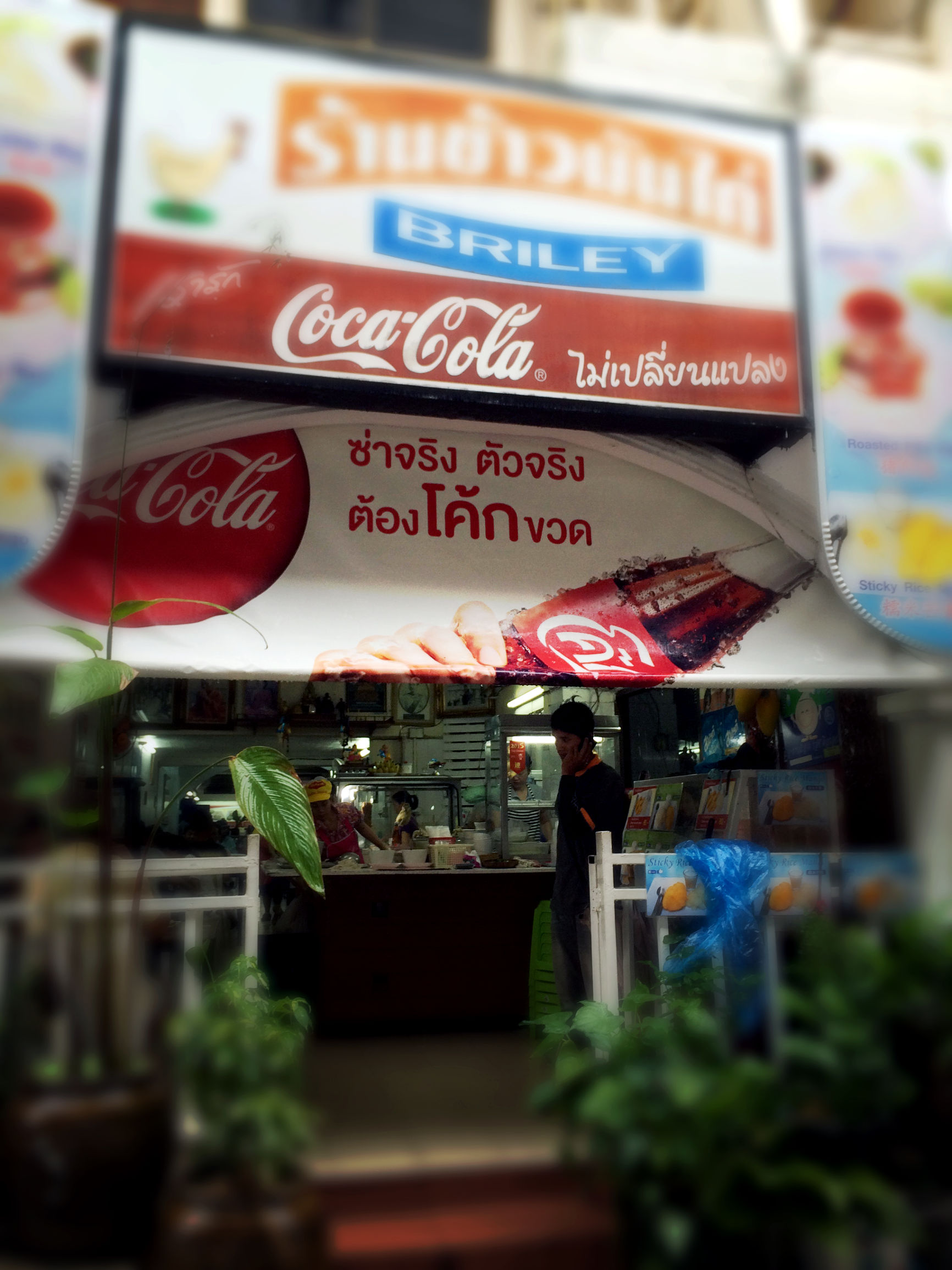 清凉一夏给你5个必去宿雾的理由,清凉一夏不需要太多理由