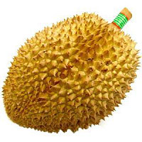 水果之王榴莲完整版,水果之王榴莲价格多少