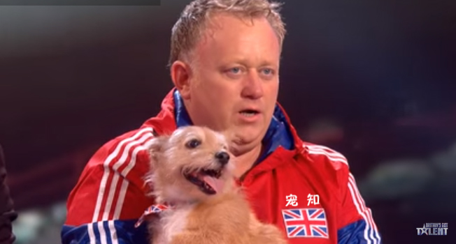 狗狗看见气球就想玩,狗狗咬爆100个气球