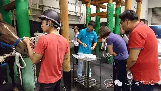 日本赛马会,日本中央赛马