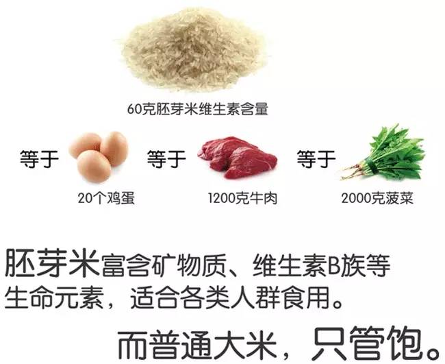 脚气病人的福音,脚气病患者的福音