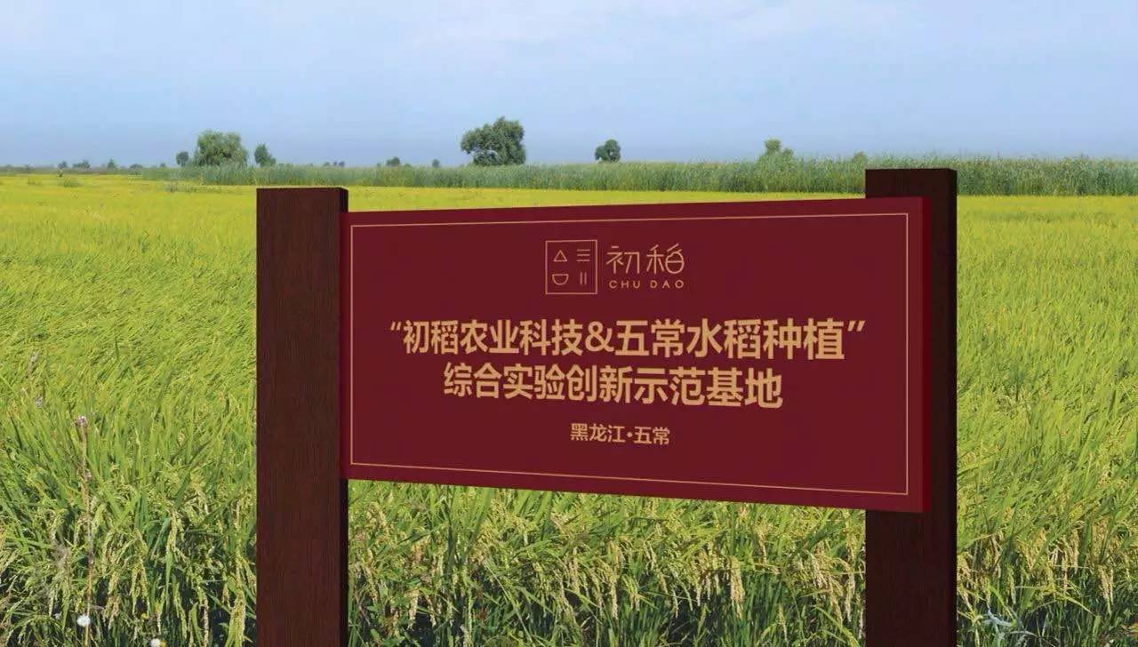 脚气病人的福音,脚气病患者的福音