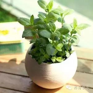 疼痛六种万能止痛药,疼痛止痛药