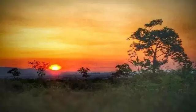 青春担大义血性耀*党**旗——献给中国*产党共**建*党**95周年