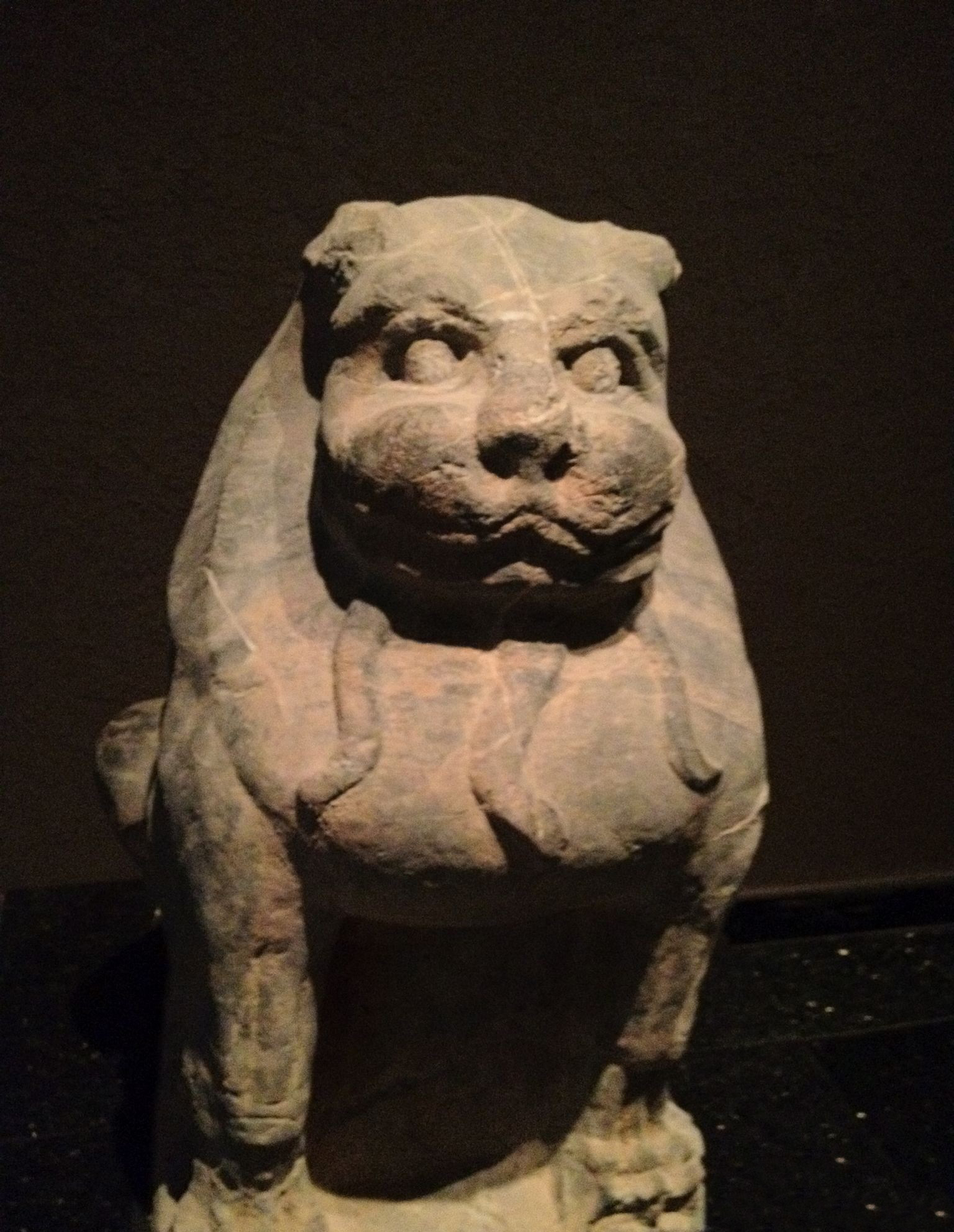 千年萌物大集结,到底谁才是真正的“*物文**萌主”!