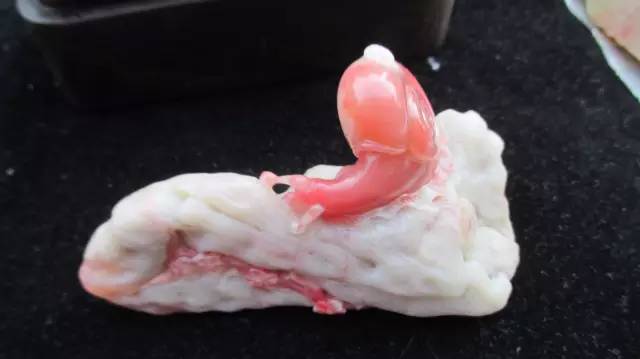 鍗氶泤鐭宠僵,鍗氶泤杞╁灞辩煶