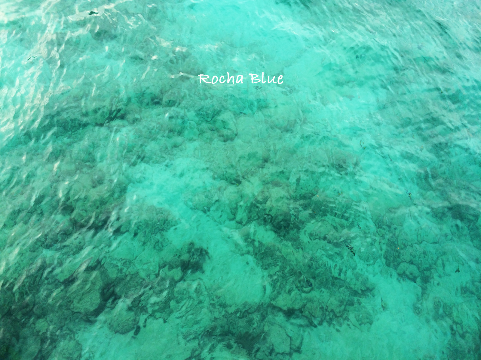 清凉一夏给你5个必去宿雾的理由,清凉一夏不需要太多理由