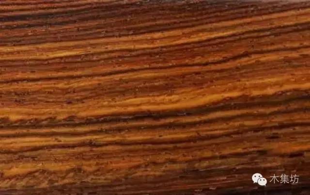 品鉴木头完整版,品鉴一般鉴别什么物品