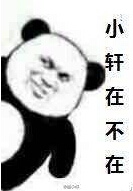 lol主播骚男骚操作,电竞圈lol主播黑色玫瑰