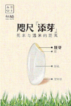 脚气病人的福音,脚气病患者的福音