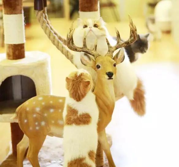 无锡不可错过的美食,无锡比较有名气的美食小吃