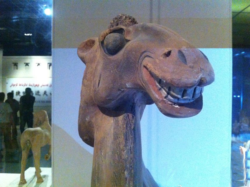 千年萌物大集结,到底谁才是真正的“*物文**萌主”!