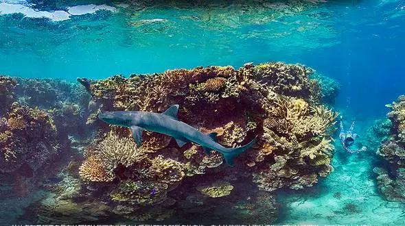 天津直飞泰国航班每周几次,天津去普吉岛有直飞吗